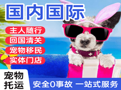 萧山空运国际宠物托运 【国